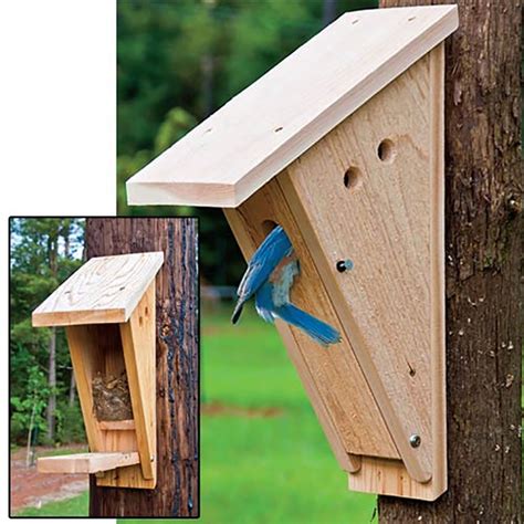 bird nest in electrical box|blue bird nest box repair.